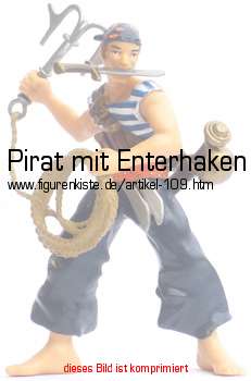 Bild vom Artikel Pirat mit Enterhaken