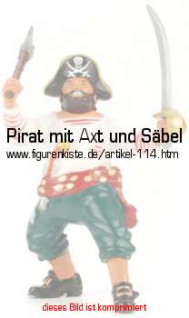 Bild vom Artikel Pirat mit Axt und Säbel