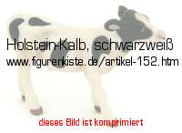 Bild vom Artikel Holstein-Kalb, schwarzweiß