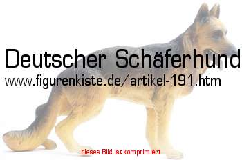 Bild vom Artikel Deutscher Schäferhund