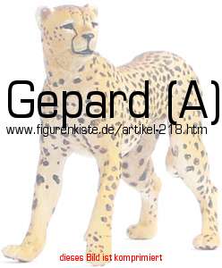 Bild vom Artikel Gepard (A)