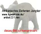 Bild vom Artikel Afrikanisches Elefanten Jungtier