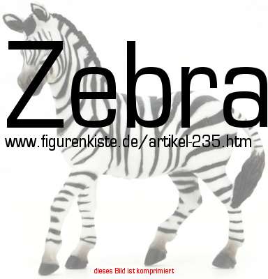 Bild vom Artikel Zebra