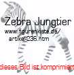 Bild vom Artikel Zebra Jungtier