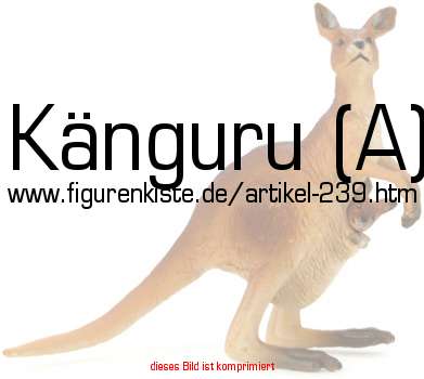 Bild vom Artikel Känguru (A)