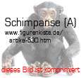 Bild vom Artikel Schimpanse (A)