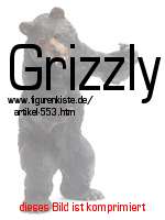 Bild vom Artikel Grizzly