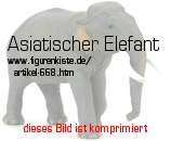 Bild vom Artikel Asiatischer Elefant