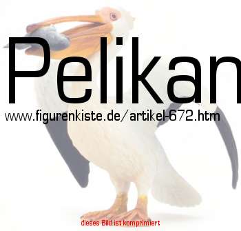 Bild vom Artikel Pelikan