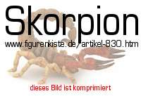 Bild vom Artikel Skorpion